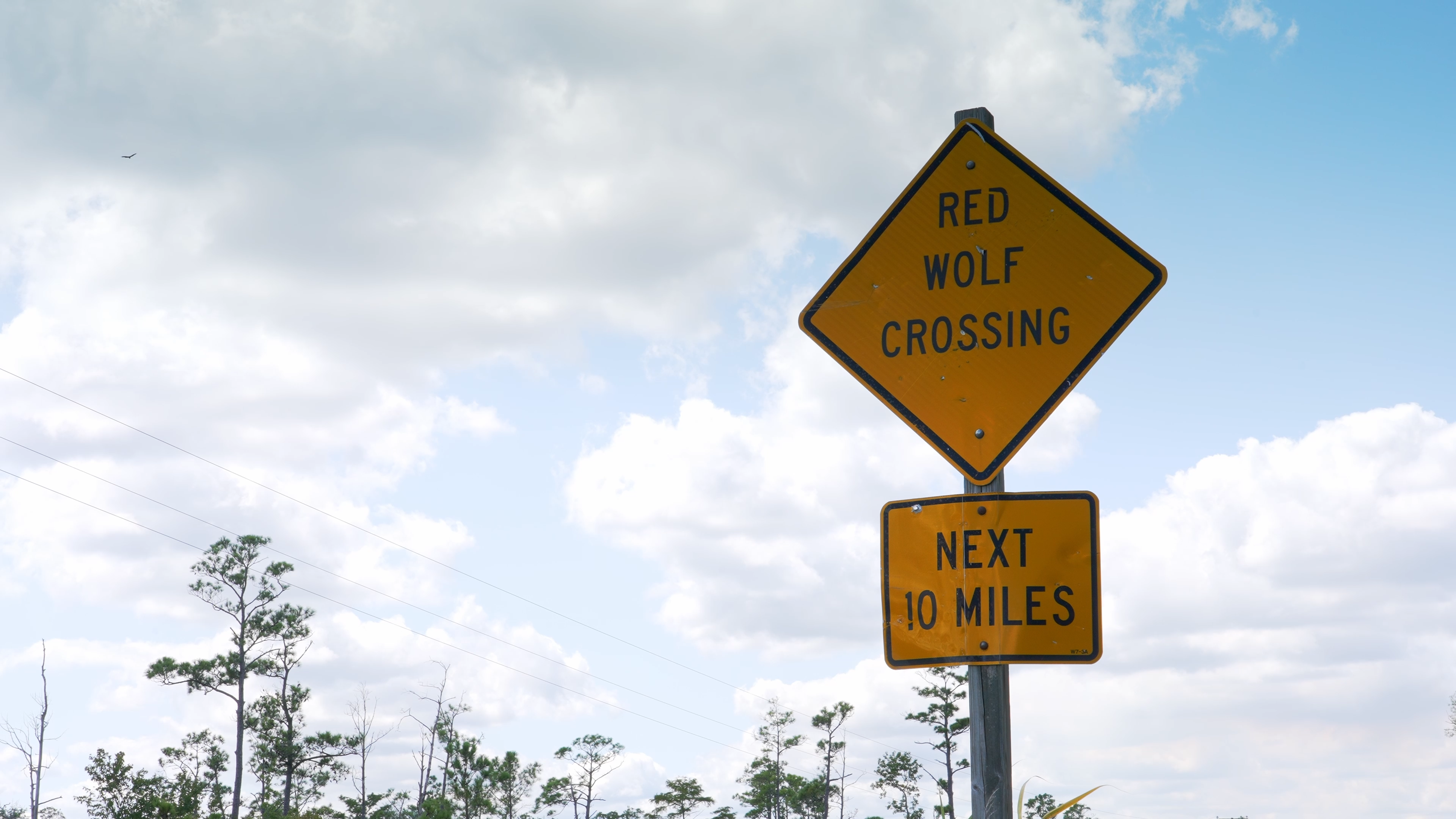 Building Safe Passage for Animals Along North Carolina’s I-40